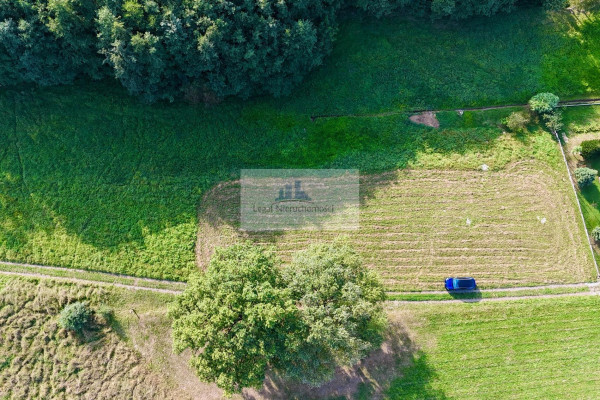 myślenicki, Myślenice, Jawornik, Działki Budowlane w Jaworniku: Idealna Lokalizacja Blisko Zakopianki