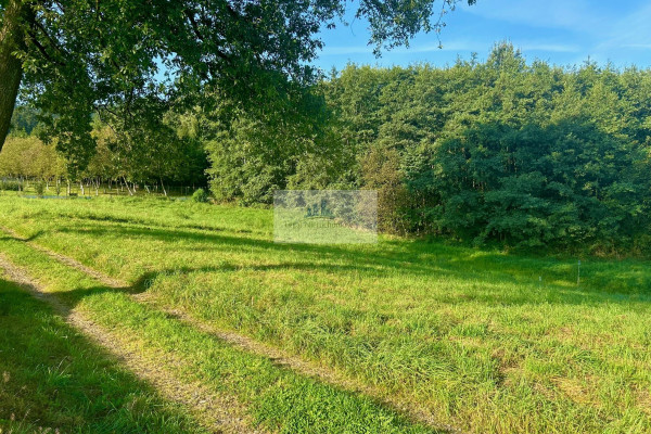 myślenicki, Myślenice, Jawornik, Działki Budowlane w Jaworniku: Idealna Lokalizacja Blisko Zakopianki