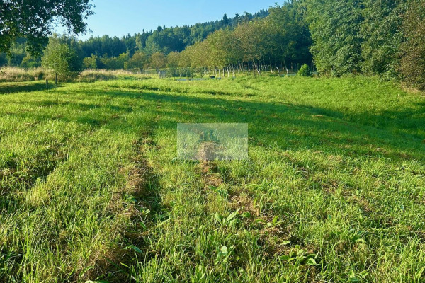 myślenicki, Myślenice, Jawornik, Działki Budowlane w Jaworniku: Idealna Lokalizacja Blisko Zakopianki